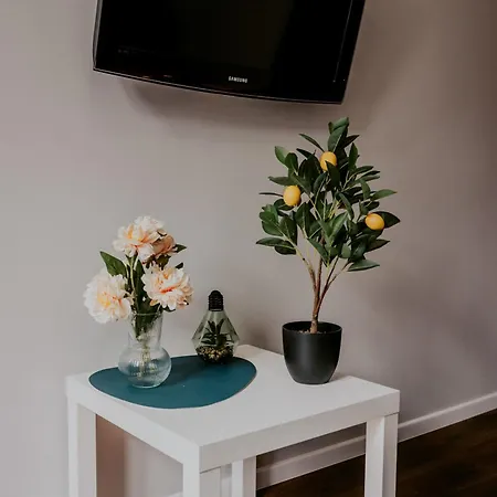 Lemon Tree Apartament Sw Ducha Apartment *